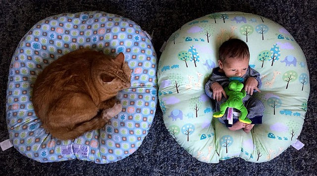 Storify co-founder Burt Herman is leaving to raise his newborn son Eli