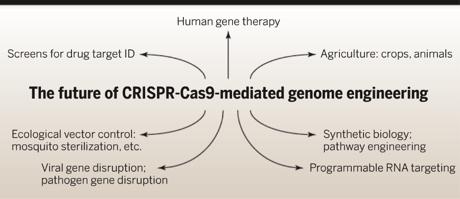 Genome3