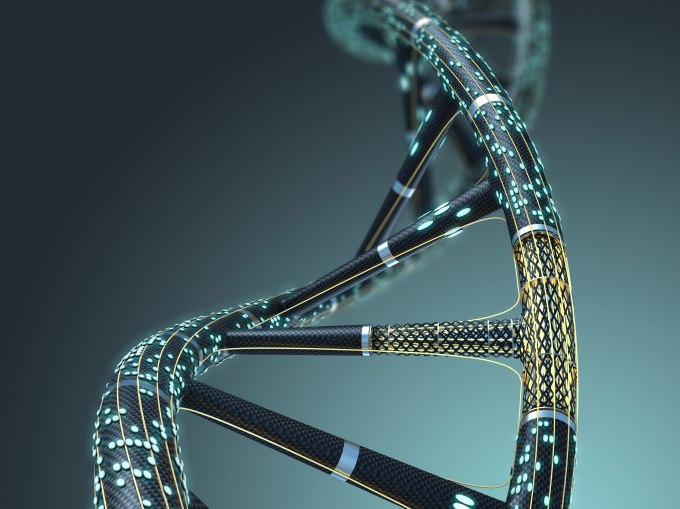 Image: Iaremenko Sergii/Shutterstock