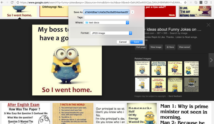 Screen shot of a Google Image Search page showing photos with image macros
