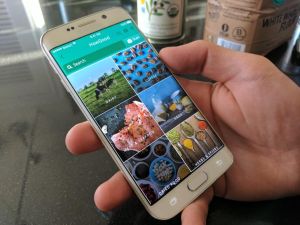 Searching for eco-friendly foods on the HowGood ratings app.