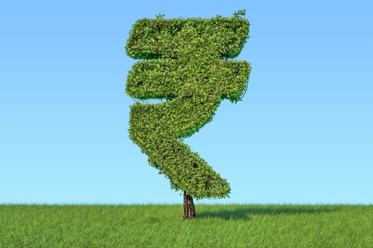Money tree in the shape of rupee symbol