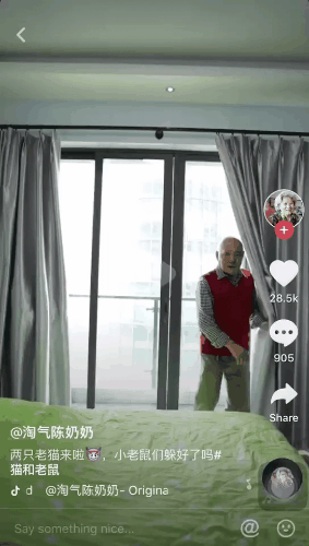 tiktok gif 1
