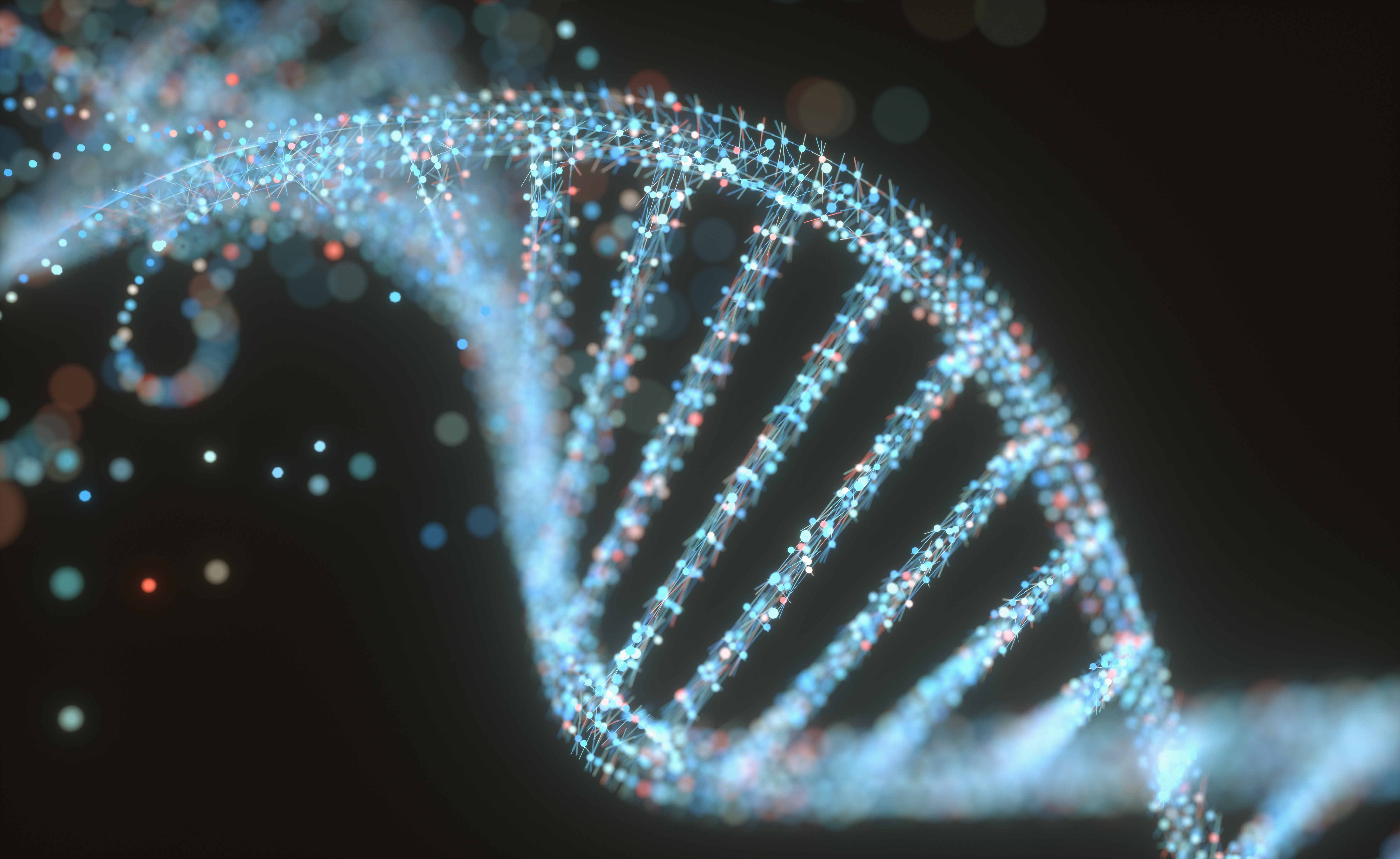 DNA structure, illustration