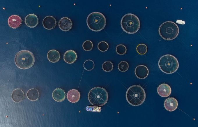 Fish farming in Turkey's Izmir GettyImages 1140243144