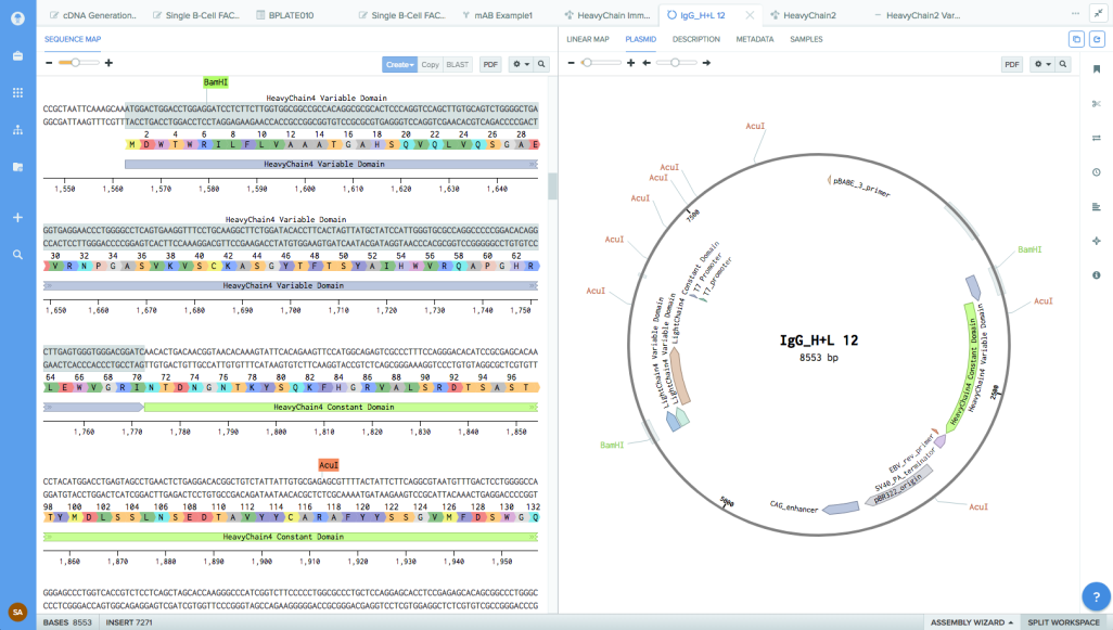 benchling-screenshot-Mol-Bio benchling screenshot Mol Bio