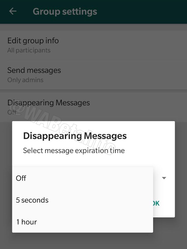 WhatsApp self-destructing feature 2EE9D669 87D1 4CC2 842F 2644E7549ED9