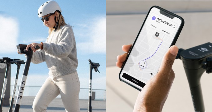 Bird Maps - Trailze