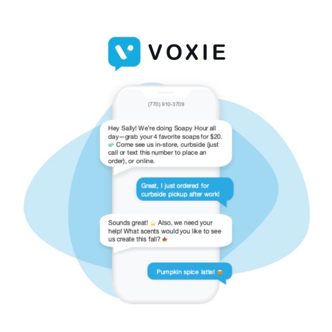Voxie